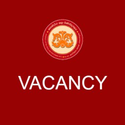 Recruitment of Post of Temporary Lecturer – Department of History and Theory of Arts